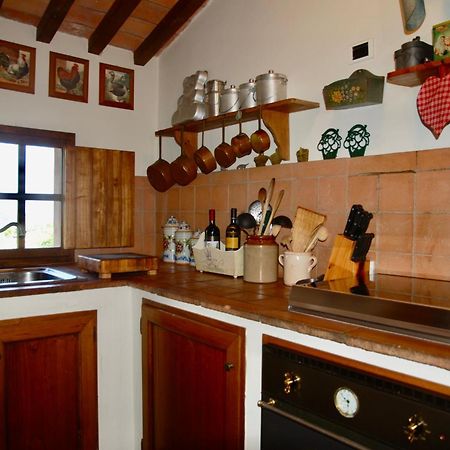 Appartamento Con Patio Privato E Giardino Tra Pisa E Firenze Palaia Dış mekan fotoğraf