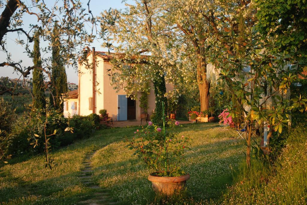 Appartamento Con Patio Privato E Giardino Tra Pisa E Firenze Palaia Oda fotoğraf
