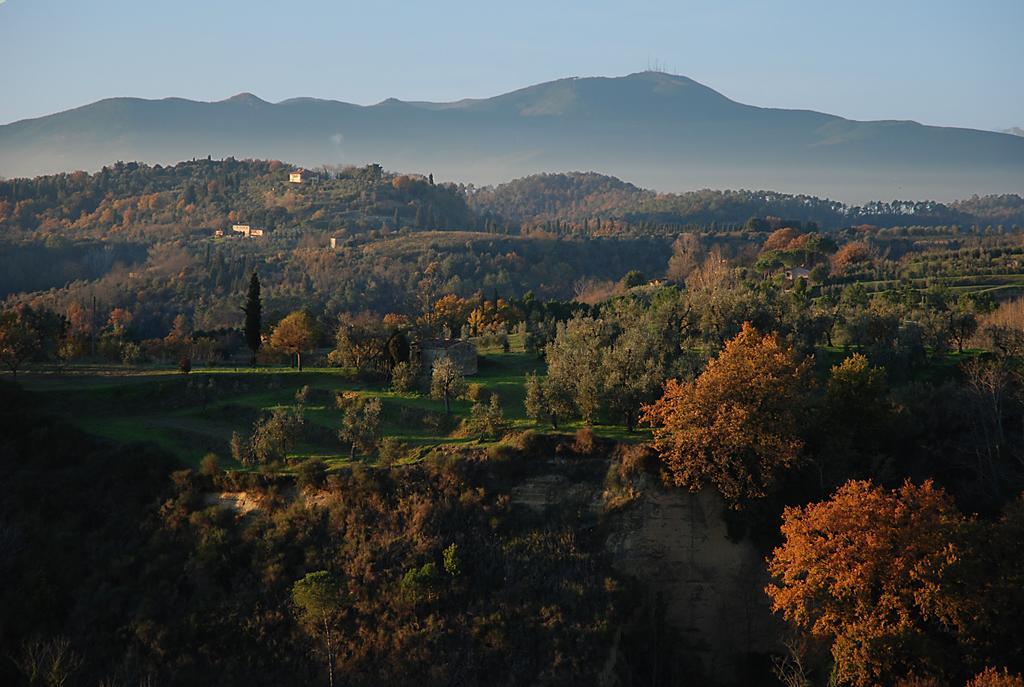 Appartamento Con Patio Privato E Giardino Tra Pisa E Firenze Palaia Dış mekan fotoğraf