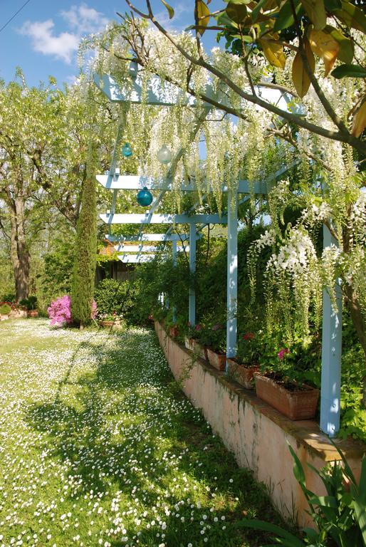 Appartamento Con Patio Privato E Giardino Tra Pisa E Firenze Palaia Dış mekan fotoğraf