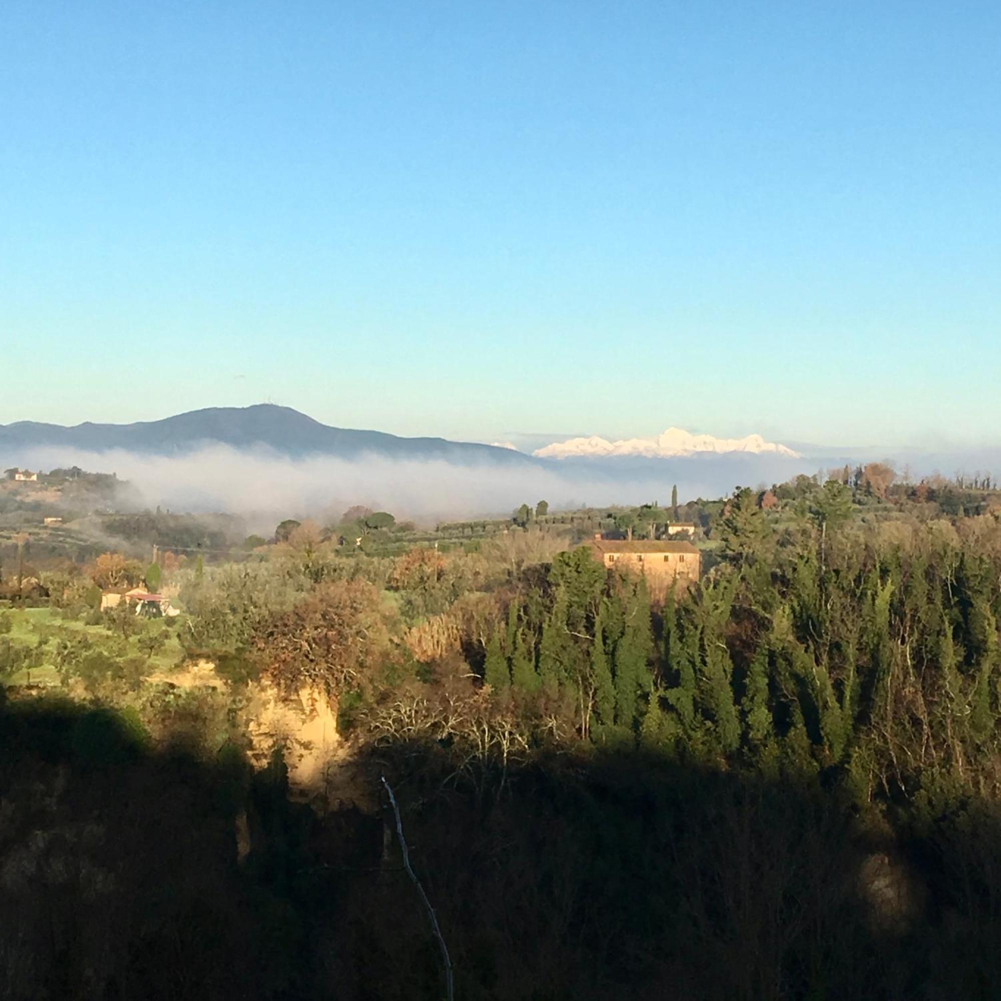 Appartamento Con Patio Privato E Giardino Tra Pisa E Firenze Palaia Dış mekan fotoğraf