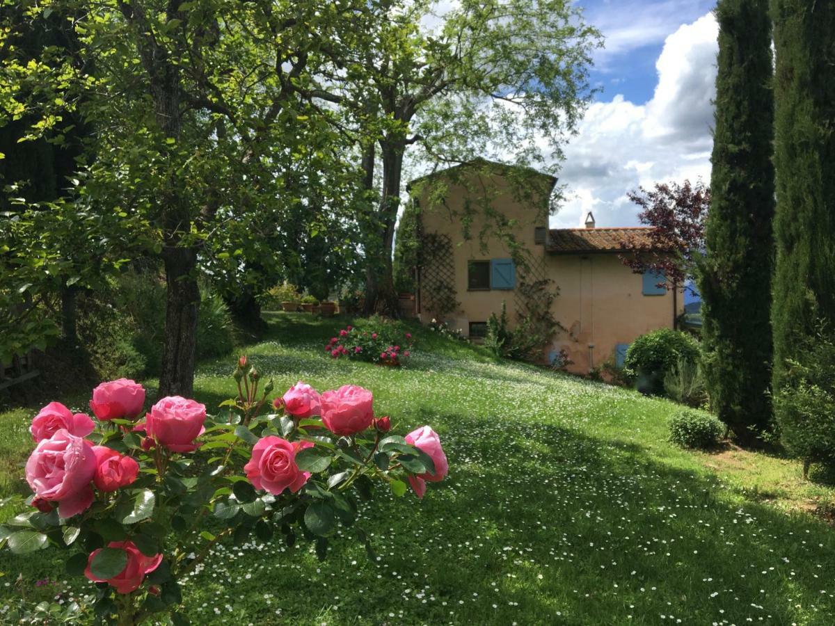 Appartamento Con Patio Privato E Giardino Tra Pisa E Firenze Palaia Dış mekan fotoğraf